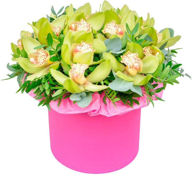 Шляпная коробка Анита